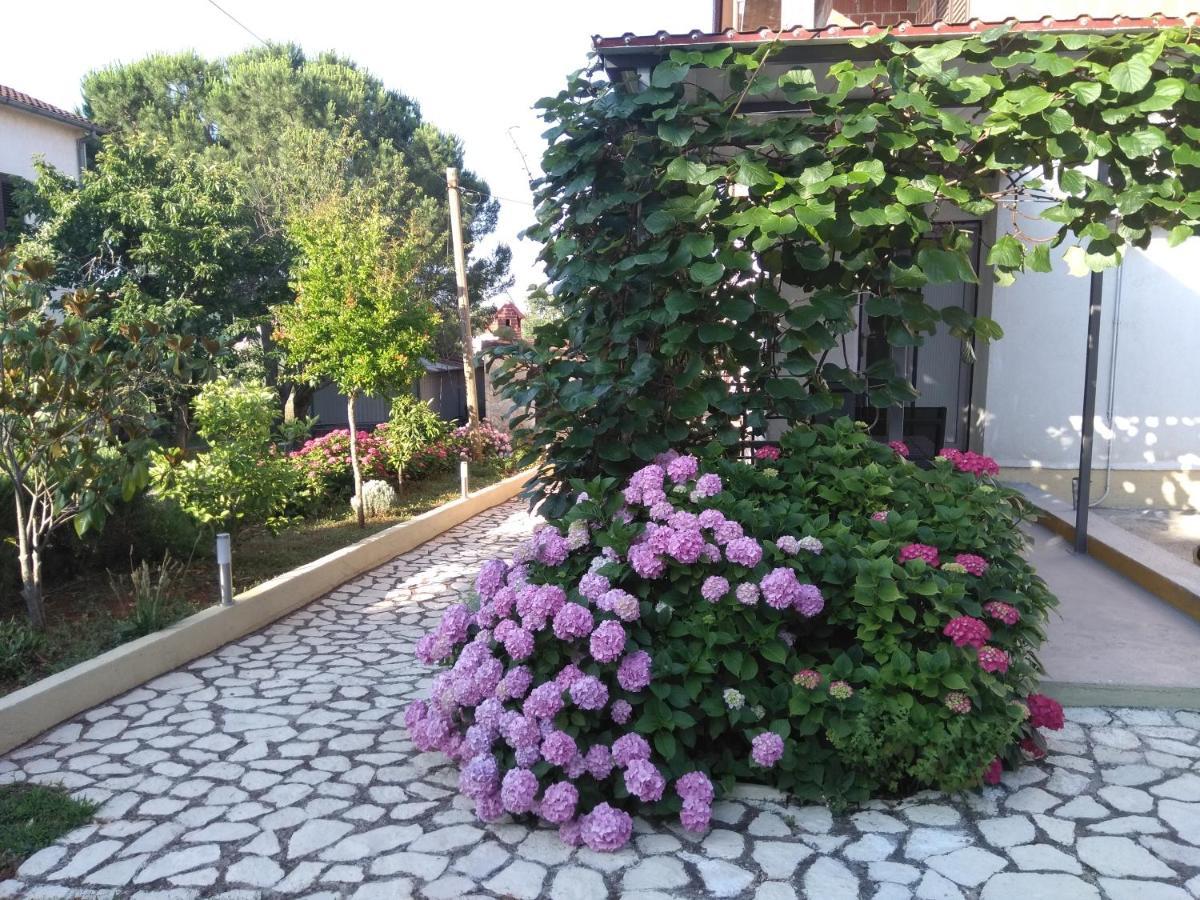 Apartments And Room Markovic Rovinjsko Selo Exterior foto